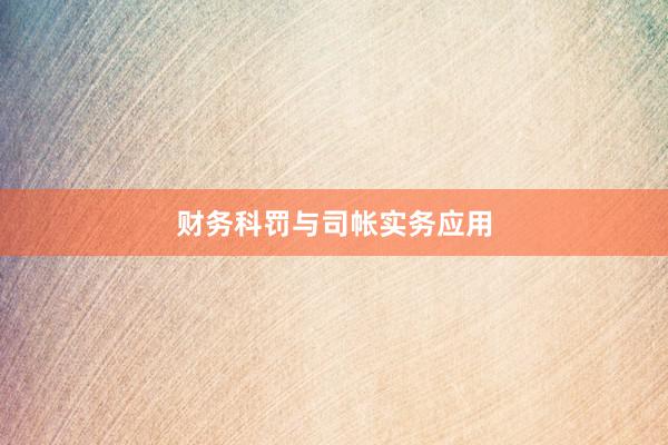 财务科罚与司帐实务应用